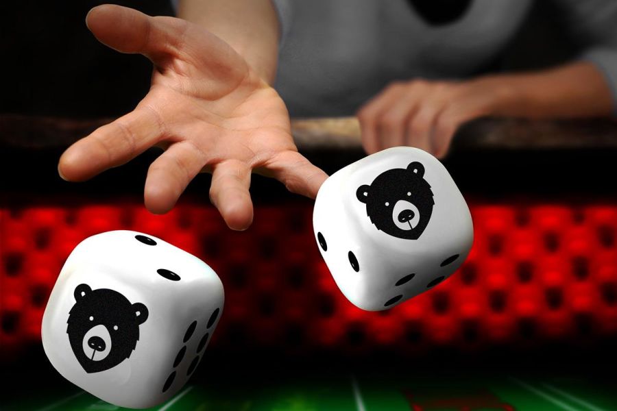 Bear Bets