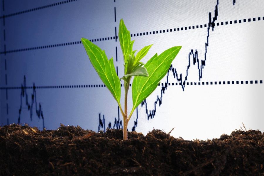 small-cap stocks