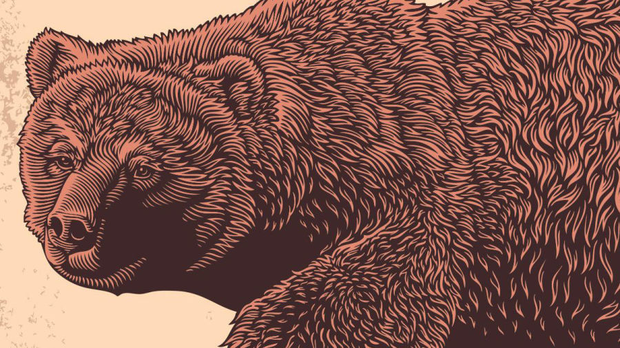 Bear Market